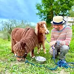 La Pineta * Φουσέκιο