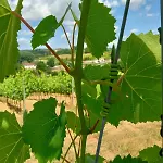 La Pineta Κατάλυμα σε φάρμα *