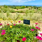 La Pineta * Φουσέκιο