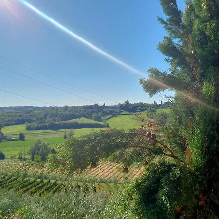 La Pineta