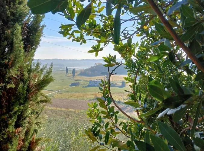 La Pineta Fucecchio